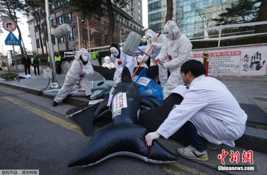 资料图：当地时间2015年12月7日，环境保护团体成员聚集在日本驻韩国大使馆前，抗议日本在南极地区捕鲸。