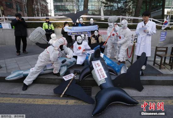 日本在南极捕鲸惹众怒 韩国人到日本使馆前示