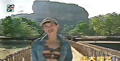 华媒:还记得那些曾在大陆走红的台湾综艺吗?|内