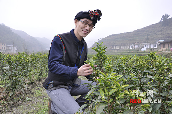 【网媒名博看常宁】塔山:领略瑶乡独特民族风