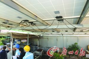 屋顶光伏发电 卖电赚钱还拿国家补贴!|能源|国家