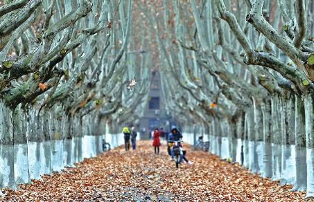 周边多地在下雪 西安城区为何是小雨