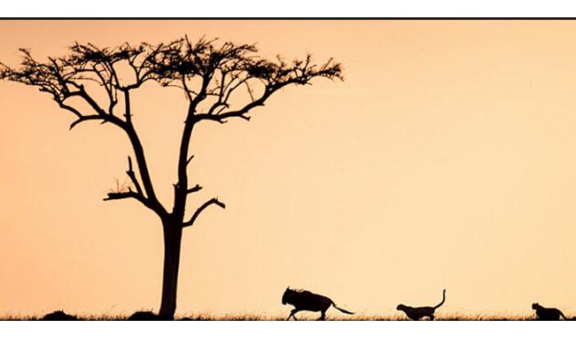 凡事预则立不预则废,美联储决议周生存手册!