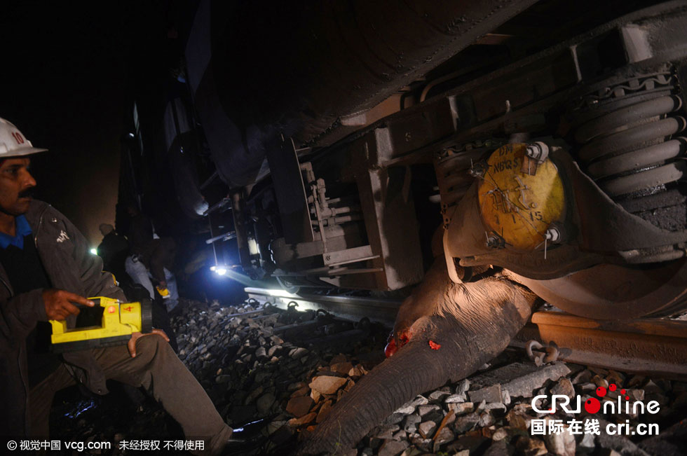 火车与大象相撞