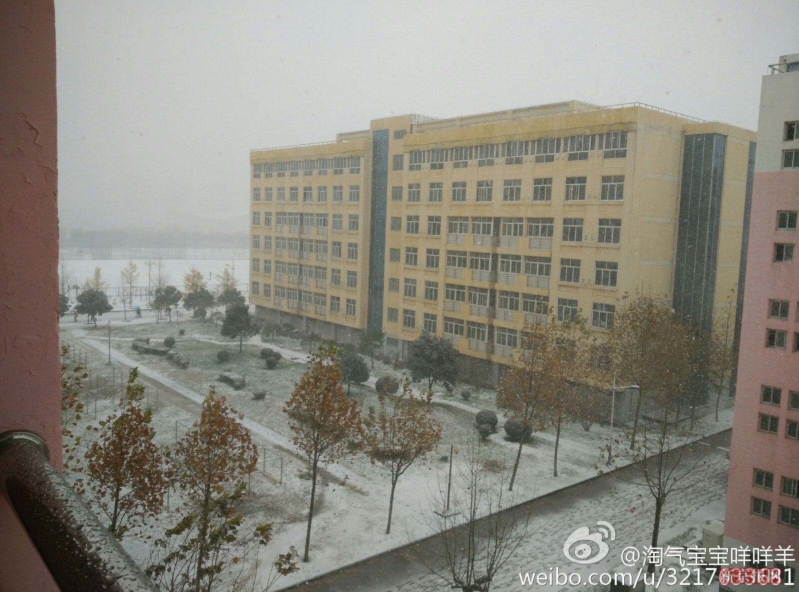 媒体报道连云港某高校5学生相继患白血病 两人