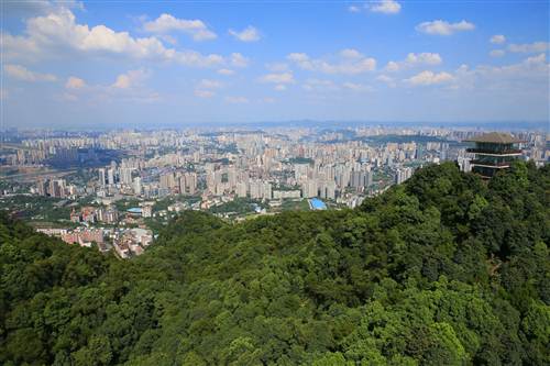 沙坪坝区加快建设重庆市科教文卫中心_新浪新闻