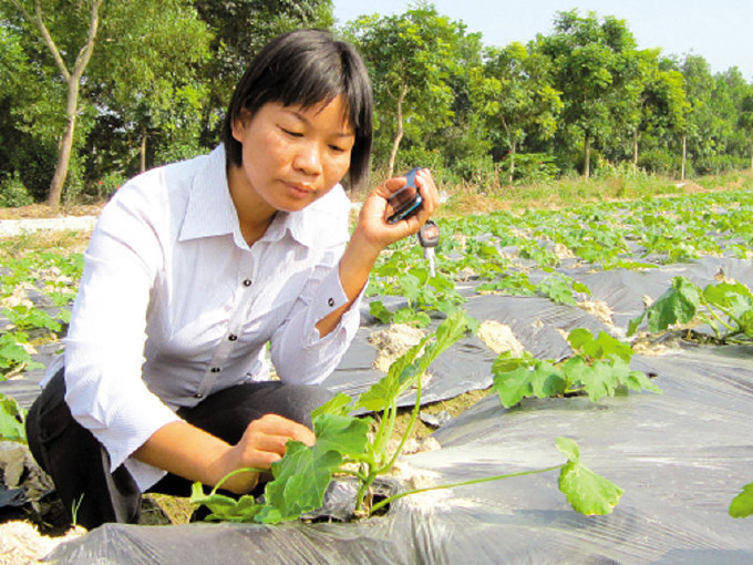 江门女大学生回家务农如今年收入亿元