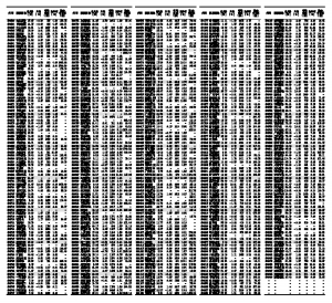 深沪证券市场每日行情及总貌|证券交易所|行情