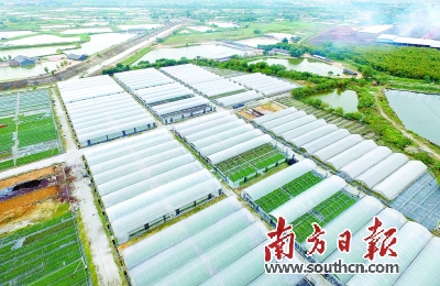 新加坡的农业GDP_电子产业持续萎缩 新加坡一季度GDP增速创近十年同期最差