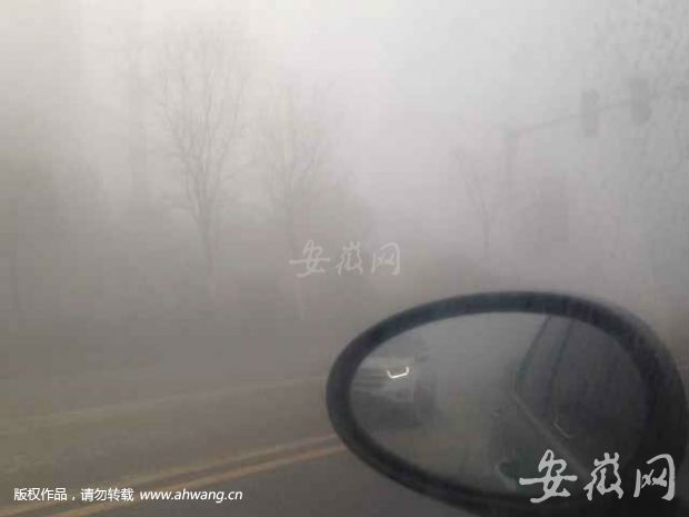 肥西紫蓬山大雾 司机看不清路口红绿灯