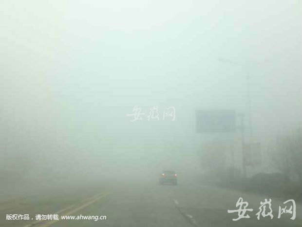 肥西紫蓬山大雾 司机看不清路口红绿灯