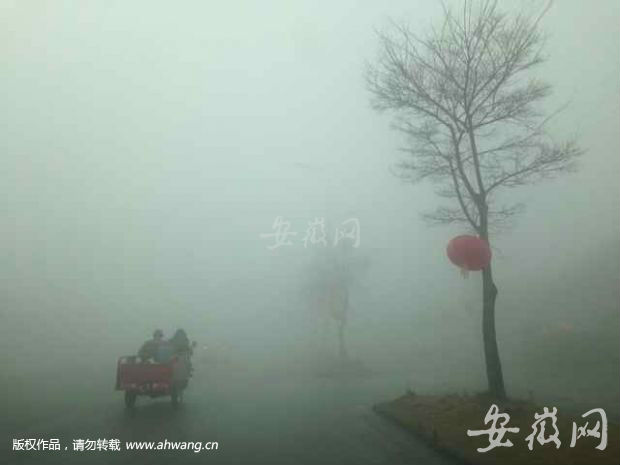 肥西紫蓬山大雾 司机看不清路口红绿灯