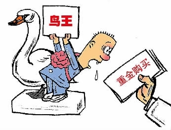 "鸟王"利欲熏心编织贩鸟网络 曾剪翅膀不让候鸟迁徙