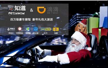 宠知道滴滴携手打造互联网跨界品牌狂欢
