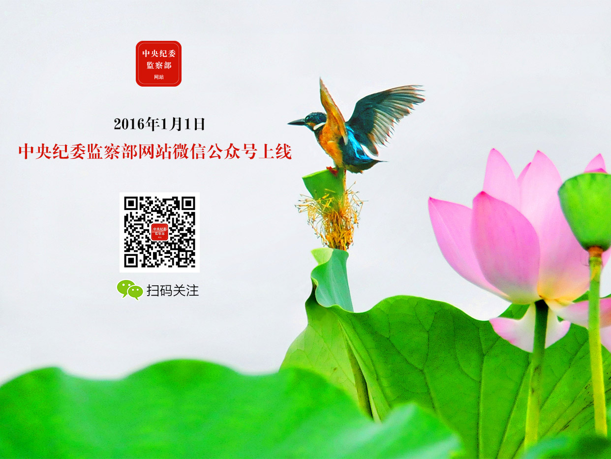 中央纪委监察部网站微信公众号