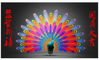 大电视巨头智能电视开机广告元旦联调测试获成