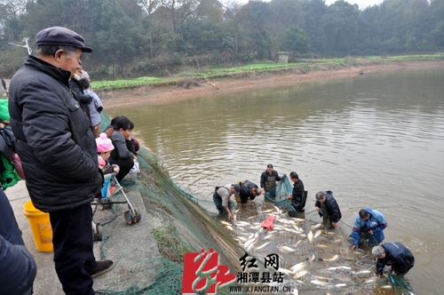 湘潭县河口镇中湾村村民网鱼打牙祭(图)