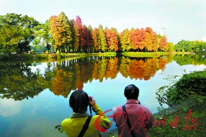 上午豪雨下午晴 一声惊雷迎小寒_新浪新闻
