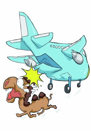 封杀去哪儿是否涉嫌垄断?|去哪儿网|航空公司