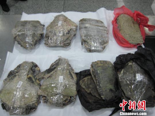 娴峰叧鏌ヨ幏鐨勬繏鍗卞姩鐗╁埗鍝佺幊鐟佺敳 钂嬫槙 鎽? data-mcesrc=