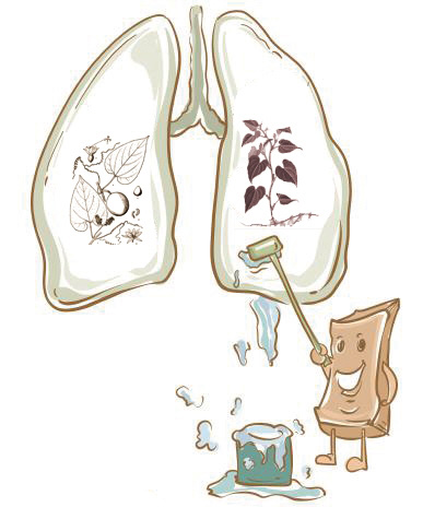 朋友圈疯传雾霾清肺茶 专家声称不靠谱