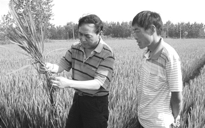 脚上有多少泥土心中就有多少情 农技站长蔡学