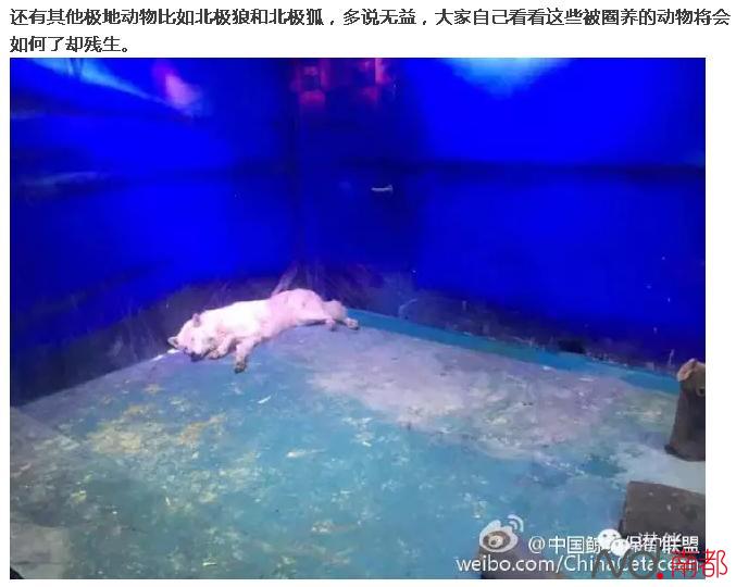广州正佳海洋馆被指伤害动物 正佳这样回应了
