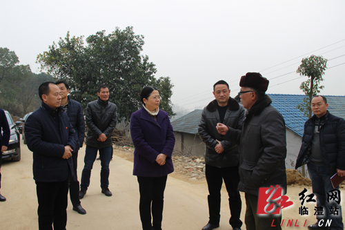 蒋颖群督查临澧县安全生产征求代表委员建议意