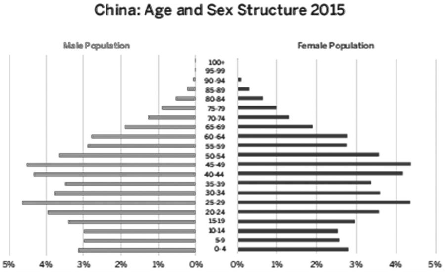 {2016中国人口结构图}.