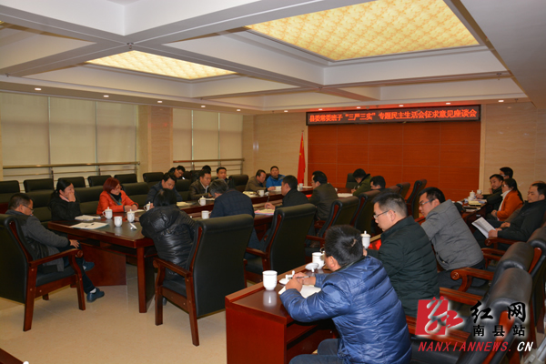 南县召开三严三实专题民主生活会征求意见座