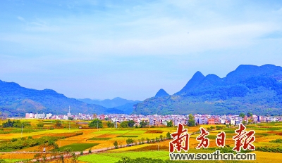 虎岭村人口_东城涡岭村人口
