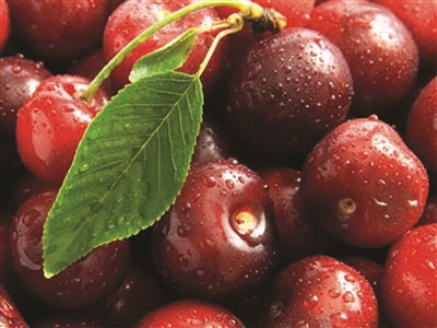 同是车厘子 价格怎么差这么大呢?