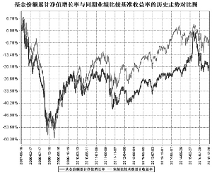 南方全球精选配置证券投资基金2015第四季度