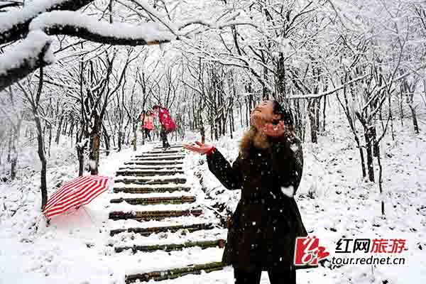 大围山滑雪场至七星岭道路封闭东入口暂停开放