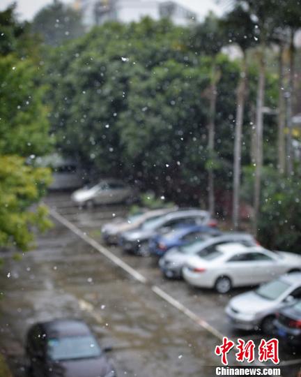 连日来席卷中国多地的强寒潮速冻了广州，24日上午，广州市的越秀、白云、番禺等区均飘起雨夹雪。据气象部门介绍，这是新中国成立以来，广州城区首次出现飘雪。 钟欣 摄