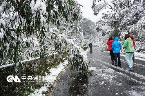 寒流来袭，新北市也传出下雪的消息，24日白天在石碇往坪林的山路上积满了白雪。 （台湾“中央社”/孙仲达 摄）