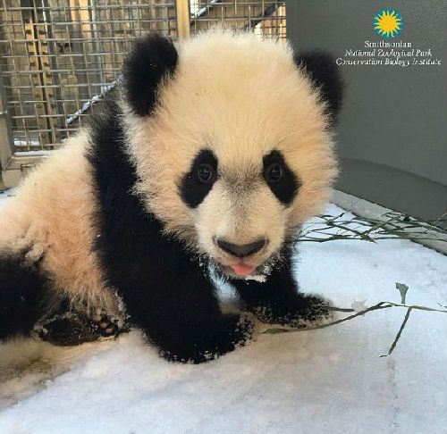 香港气温将至3度成59年最低 小学和幼儿园停课