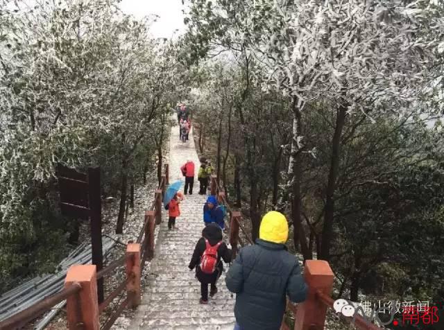 别去皂幕山赏雪啦!路面结冰已暂停开放_新浪新闻