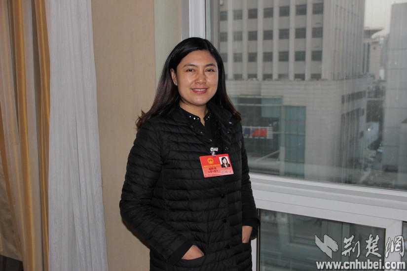 [2016湖北两会]人大代表朱琼英:发展养老产业 