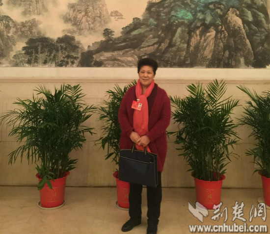 [2016湖北两会]人大代表胡明荣:武汉小巷总理