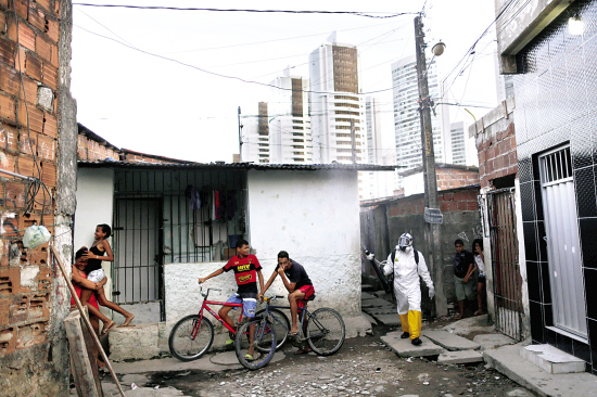  寨卡病毒蔓延 欧美 多国发布旅行警示_新浪新闻