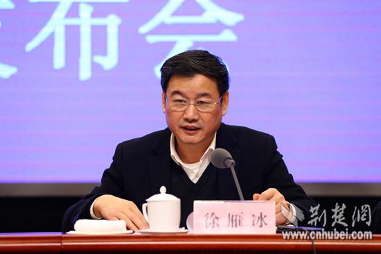 [2016湖北两会]省教育厅徐雁冰:十三五实现学