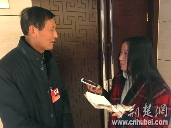 [2016湖北两会]省人大代表田祥森:产业扶贫才是