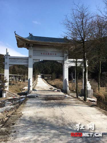 隆回县林业局给白马山穿衣戴帽