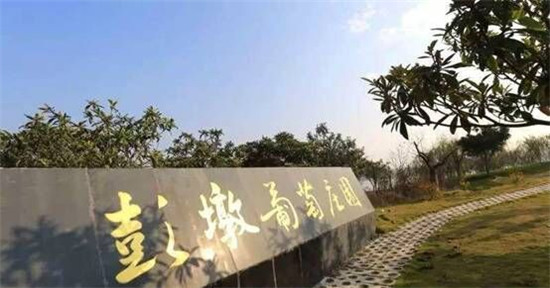 [两会视点]“十三五”，湖北将如何做好融合文章