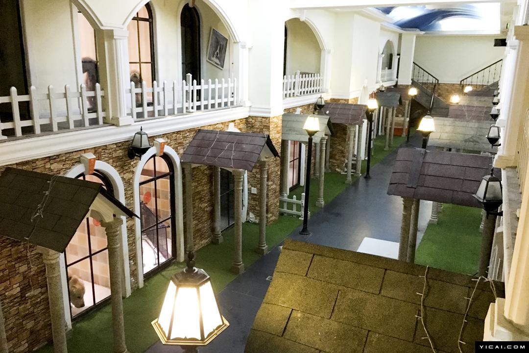 成都宠物酒店堪比五星级酒店 春节寄养一天150元已满房_新浪财经_新浪网