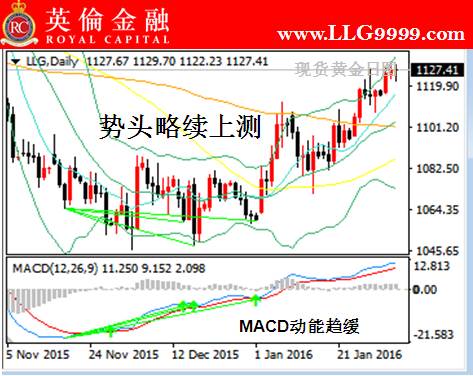 英伦金融: 2月3日伦敦金交易全方位分析策略