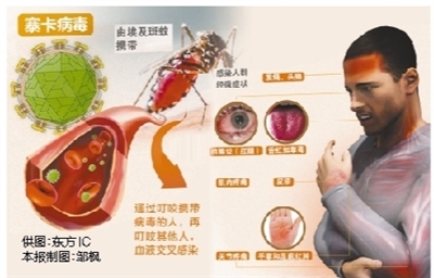 寨卡病毒传播急 美洲各国应对忙