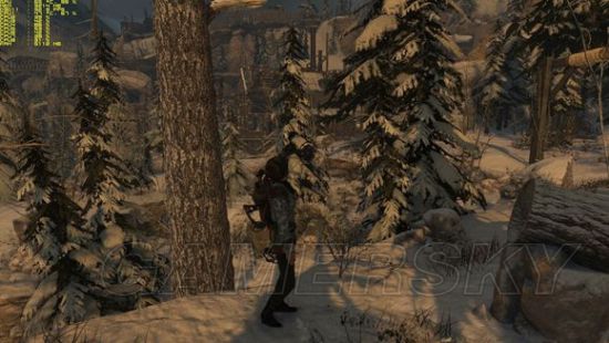 《古墓丽影崛起》A卡驱动16.1.1变化效果测试