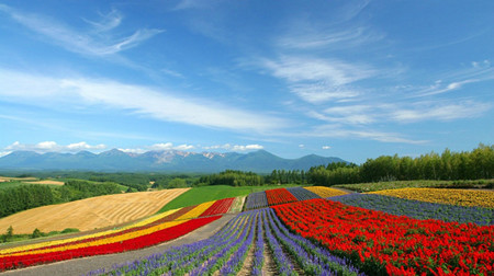 北海道制作中文手指对话集 助的士司机接待外